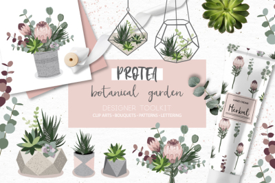 Protea - botanical garden collection