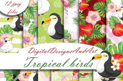 Tropical birds digital paper
