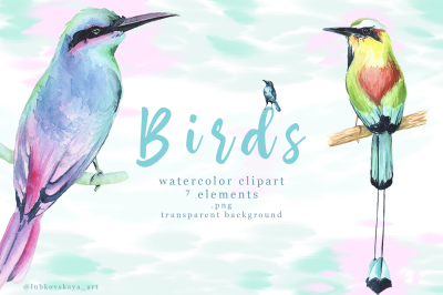 Watercolor Birds Clipart 