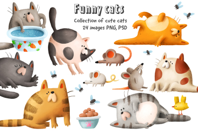 Funny cats collection
