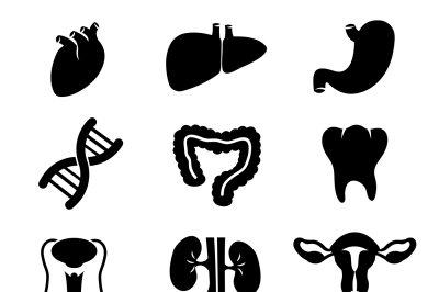 Human organs vector black icons set