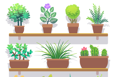 Indoor plants in pots flat icons set