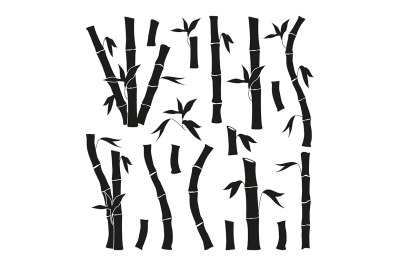 Monochrome pictures set of bamboo. Jungle plants isolate on white