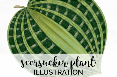 Leaf Clipart Vintage