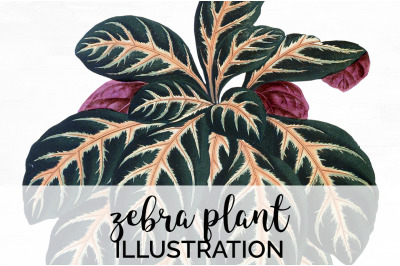 Leaves Clipart Vintage