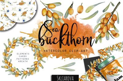 Sea buckthorn. Watercolor clip art.