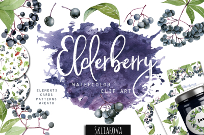 Elderberry. Watercolor clip art.