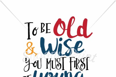 To be old & wise you mus first be young & stupid