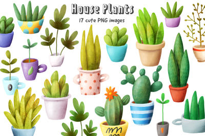 Set of house plants
