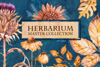 Herbarium Master Collection