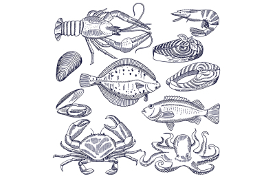 Vector illustrations of sea food for restaurant gourmet kitchen