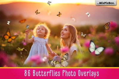 Butterflies Photo Overlays