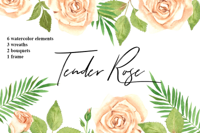 Tender Rose Watercolor Set