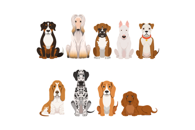 Different breeds of dog. Group of domestic animals in cartoon style