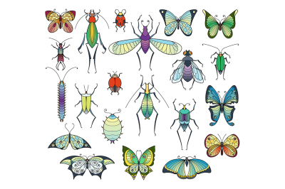 Colored insects isolate on white. Bugs and butterflies vector pictures