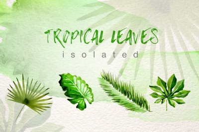 Watercolor tropical leaves PNG set