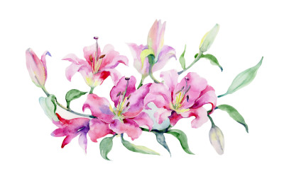 Bouquet of pink lilies PNG watercolor set