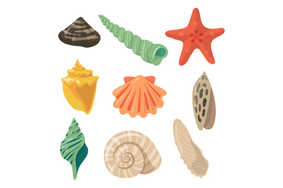 Summer tropical objects. Marine shells in cartoon style