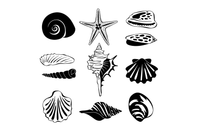 Black monochrome illustration of marine shells