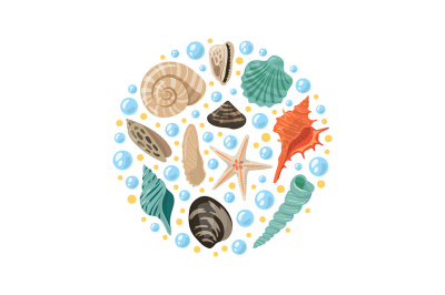 Different tropical shells in circle shape