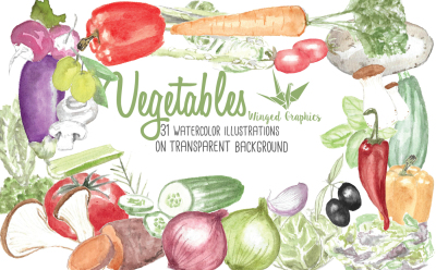 Watercolour  Vegetables and herbs