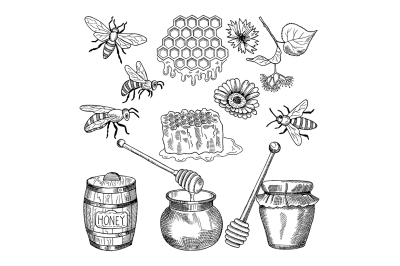 Vector hand drawn pictures of honey products