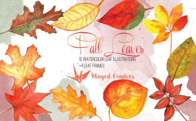 Fall leaves: watercolor illustration set