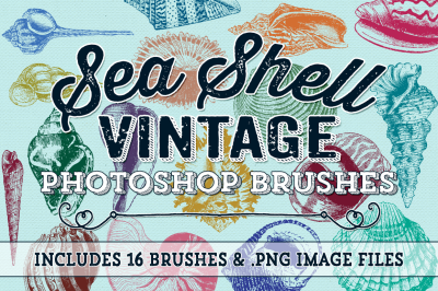 Vintage Sea Shell Photoshop Brushes
