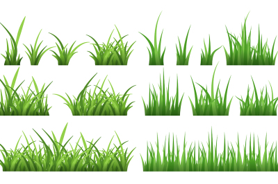 Nature illustrations of green field grass