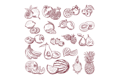 Vector sketch fruits for package design. Doodle illustrations set