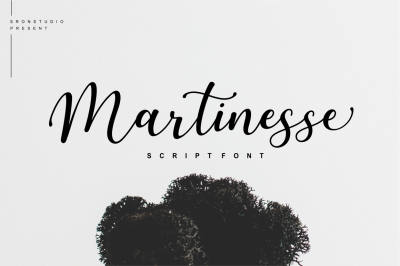 Martinesse - Script Font