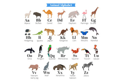 English vector alphabet for kids with cute wild animals near letters