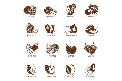 Monochrome illustrations of nuts