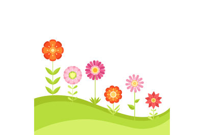 Summer floral vector background with garden flowers