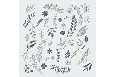 Rustic hand drawn ornaments with branches and leaves. Vector floral fr