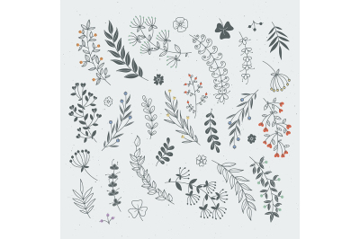 Decorative floral elements for design projects