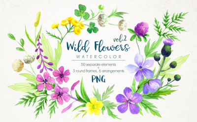Wild flowers 2. Watercolor set.