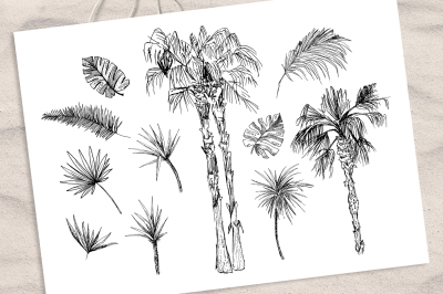 Tropicana - Palm Trees &amp; Leaves Set