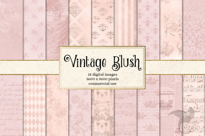 Vintage Blush Digital Paper