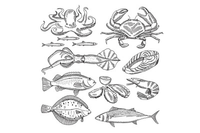 Hand drawing vector illustrations of sea food for restaurant menu