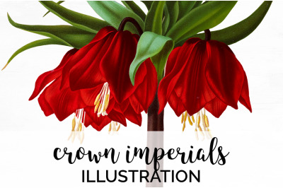 Red Flowers Clipart