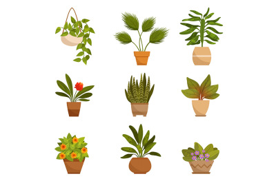 Illustrations set of home decorative plants