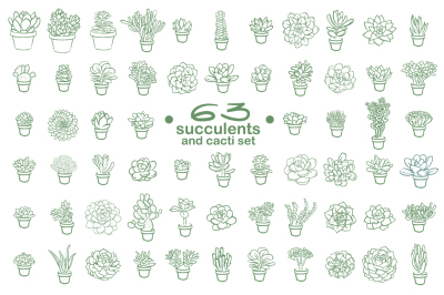 Collection of 63 Hand-Drawn Succulents. 