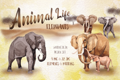 Animal life elephants PNG watercolor set