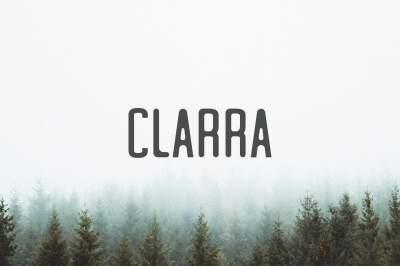 Clarra Sans Serif Font Family