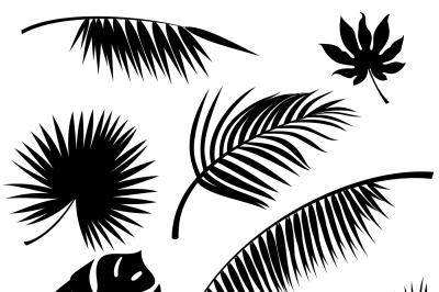 Tropical leaves vector