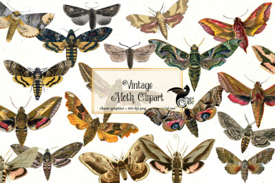 Vintage Moth Clipart