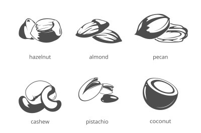 Nuts vector icon set