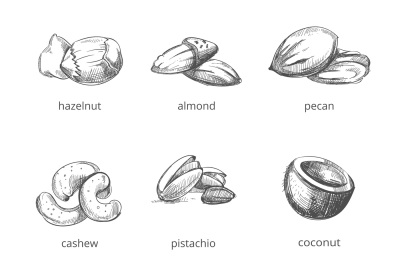 Vector nuts set in hand drawn style