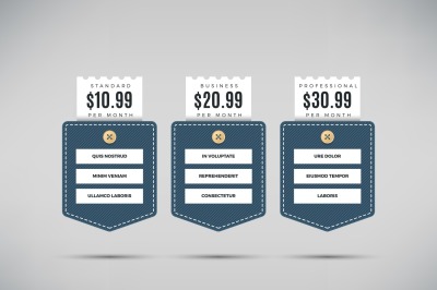 Web pricing table with comparison of business services